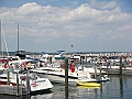 Western Michigan [2010] 264